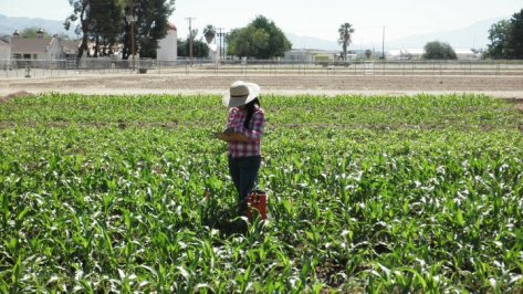 264634_10150223560641218_3384479_n