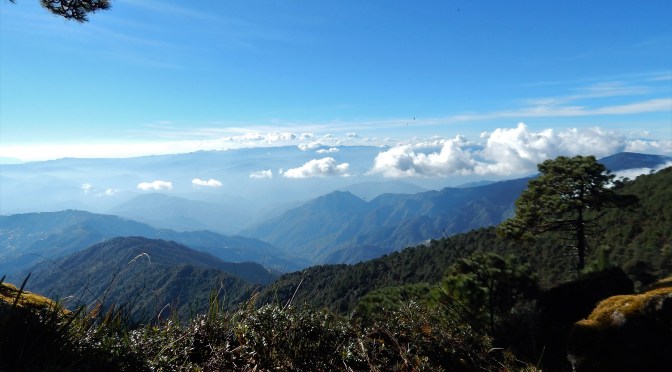 Resisting in the mountains in Mexico: using territory and self-determination to resist COVID-19